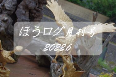 【ほうログ月刊号2022.6】